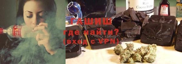 индика Михайловск