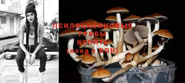 амф Алзамай