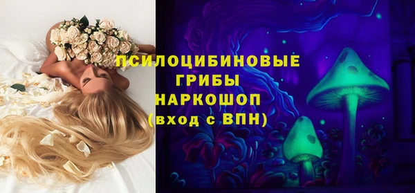 амф Алзамай
