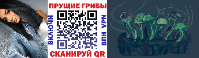 OMG сайт  Чебаркуль  Галлюциногенные грибы Psilocybe  магазин   