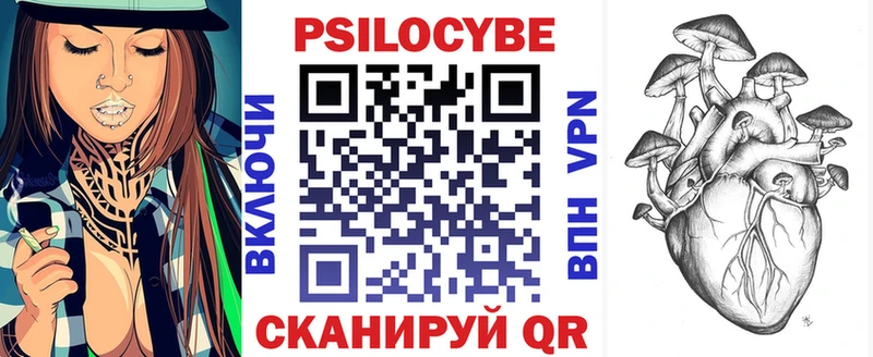Галлюциногенные грибы Psilocybe Чебаркуль